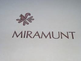 Miramunt Hotel Flims Eksteriør billede